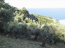For sale:  land - Volos (7673-487) | Dom2000.com #51339222