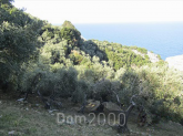 Продам земельну ділянку - Volos (7673-487) | Dom2000.com