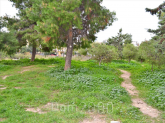 For sale:  land - Athens (4109-489) | Dom2000.com