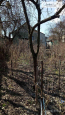 For sale:  home - Нижнегиевская ул., Harkiv city (9979-489) | Dom2000.com #70176465