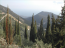 For sale:  land - Epirus (4114-491) | Dom2000.com #24490573