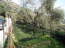 For sale:  land - Epirus (4114-491) | Dom2000.com #24490574