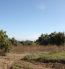 For sale:  land - Kassandra (4120-494) | Dom2000.com #24554189