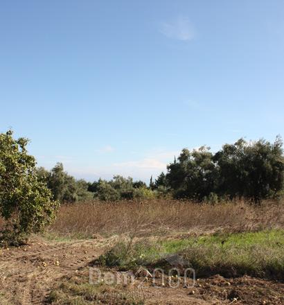 For sale:  land - Kassandra (4120-494) | Dom2000.com