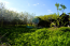 For sale:  land - д. Dolmatovo (10627-498) | Dom2000.com #77731465