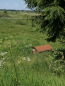 For sale:  home - д. Obnorskoe (10571-500) | Dom2000.com #76736346