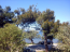For sale:  home - Thasos (4118-500) | Dom2000.com #24534117