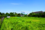 For sale:  land - 46А str., с. Ilinskoe (10211-501) | Dom2000.com #72680517