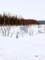 For sale:  shop - 14 str., ж/д_каза. 335 km (10593-502) | Dom2000.com #76976858