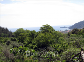 For sale:  land - Thasos (7679-502) | Dom2000.com
