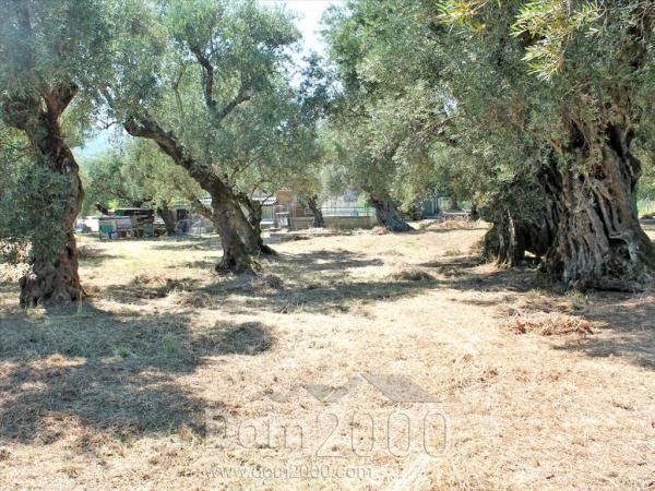 For sale:  land - Zakynthos (4116-504) | Dom2000.com