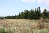 For sale:  land - Thessaloniki (4111-506) | Dom2000.com