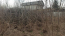 For sale:  land - ул.Шевченко, Hotiv village (9793-508) | Dom2000.com #68269875