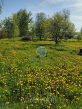 For sale:  land - 7 str., д. Pozdnovo (10338-509) | Dom2000.com