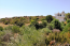 For sale:  land - Rodos (4110-511) | Dom2000.com #24447786