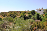 For sale:  land - Rodos (4110-511) | Dom2000.com