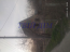 For sale:  home - Центральная д.1, Pereyaslav-Hmelnitskiy rayon (9800-512) | Dom2000.com #68346420
