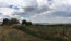 For sale:  land - Лесная str., Velikodolinske town (9688-513) | Dom2000.com #67292238