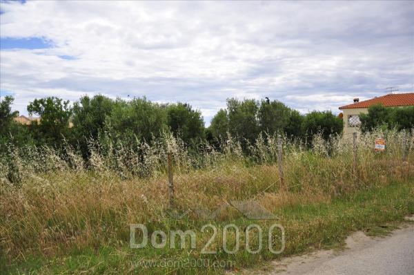 For sale:  land - Sithonia (4117-516) | Dom2000.com