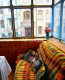 Lease 2-room apartment - Ярославов Вал, 11 str., Shevchenkivskiy (9181-518) | Dom2000.com #62696068