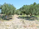 Продам земельну ділянку - Zakynthos (4116-520) | Dom2000.com