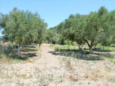 For sale:  land - Zakynthos (4116-520) | Dom2000.com