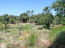 For sale:  land - Zakynthos (4116-520) | Dom2000.com #24513137
