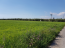 Продам земельный участок - Халкидики (6187-521) | Dom2000.com #40827348