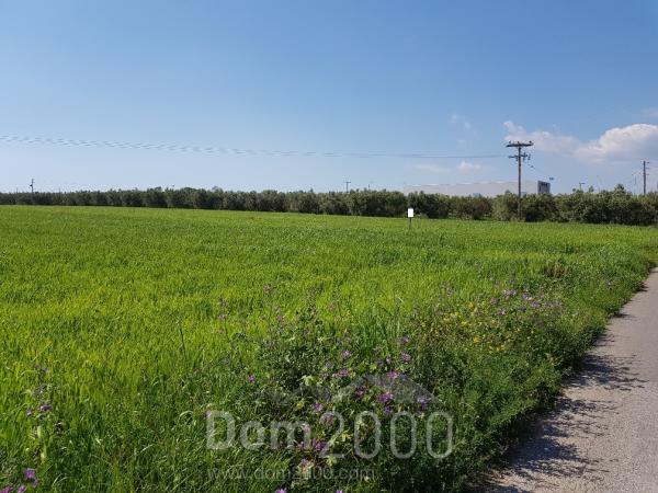 For sale:  land - Chalkidiki (6187-521) | Dom2000.com