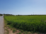 Продам земельный участок - Халкидики (6187-521) | Dom2000.com #40827353