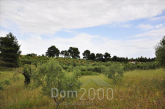 Продам земельный участок - Ситония (Халкидики-Ситония) (4117-522) | Dom2000.com