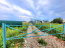 For sale:  land - с. Molodi (10483-525) | Dom2000.com #75788117