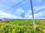 For sale:  land - с. Molodi (10483-525) | Dom2000.com #75788118
