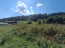 For sale:  land - Центральная улица, 29А str., тер. Elovka (10640-525) | Dom2000.com #77876118