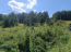 For sale:  land - Центральная улица, 29А str., тер. Elovka (10640-525) | Dom2000.com #77876120