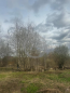 For sale:  land - Дачная улица str., п. Krasnoe (10657-525) | Dom2000.com #78050417
