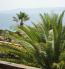 For sale:  home - Kassandra (4120-525) | Dom2000.com #24554511