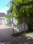 For sale:  home - Пушкина д.1, Borispil city (9800-527) | Dom2000.com #68346579