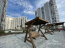 For sale:  1-room apartment - Евгения Маланюка ул., Dniprovskiy (10037-529) | Dom2000.com #70845575