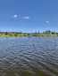 For sale:  shop - Russia (10493-531) | Dom2000.com #75887348