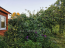 For sale:  home - Зелёная улица str., д. Oheevo (10026-533) | Dom2000.com #70729283