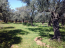 For sale:  land - Thasos (4118-534) | Dom2000.com #24534507