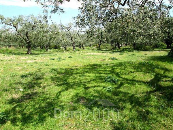 For sale:  land - Thasos (7679-534) | Dom2000.com