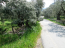 For sale:  land - Thasos (7679-534) | Dom2000.com #51380590
