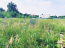 For sale:  land - Светлая улица str., п. Krasnyy Put (10533-535) | Dom2000.com #76338859