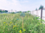 For sale:  land - Светлая улица str., п. Krasnyy Put (10533-535) | Dom2000.com #76338860