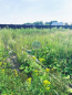 For sale:  land - Светлая улица str., п. Krasnyy Put (10533-535) | Dom2000.com #76338863