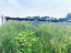 For sale:  land - Светлая улица str., п. Krasnyy Put (10533-535) | Dom2000.com #76338865