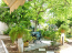 For sale:  home - Athens (4117-535) | Dom2000.com #24523693