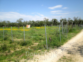 For sale:  land - Thasos (7679-535) | Dom2000.com